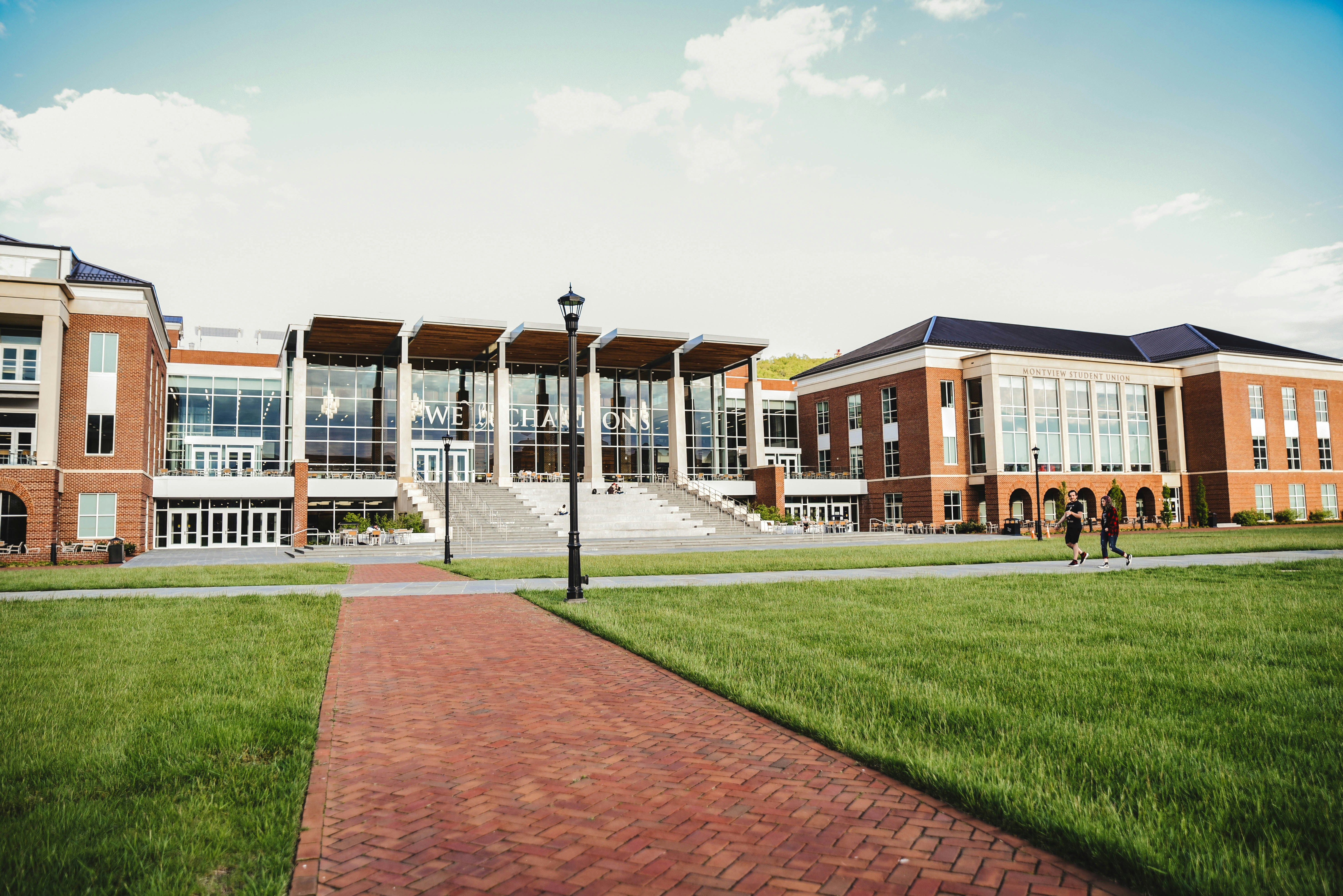 Sandhill Cranes Academy gallery image